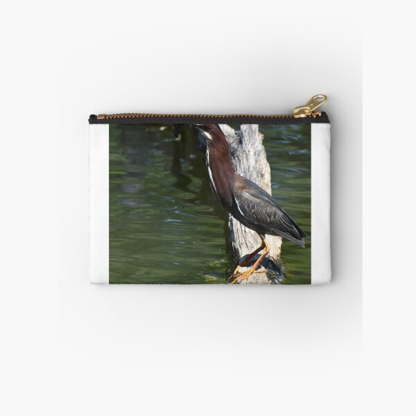 Item preview, Green Heron designed and sold by mmcpix.