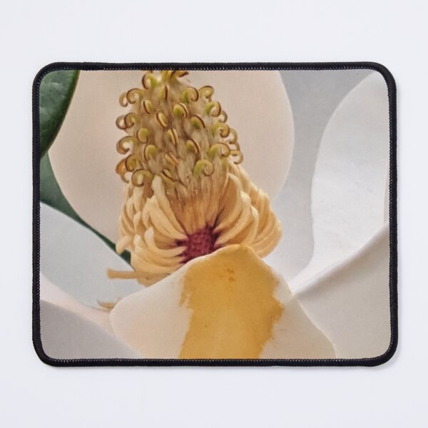 Item preview, Sweet Magnolia designed and sold by Angi Baker.