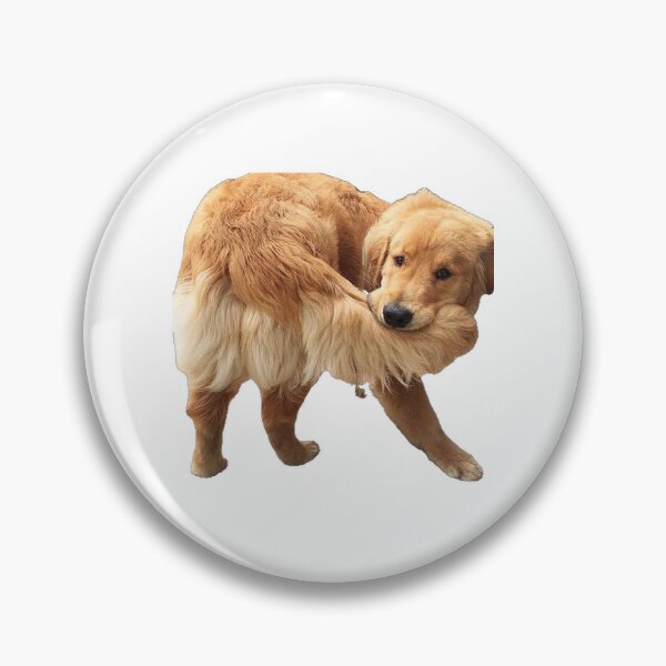Item preview, Silly Golden Retriever designed and sold by lilyyjo.