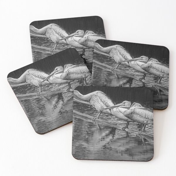 Item preview, Three Pelicans in monochrome designed and sold by MonochromePics.