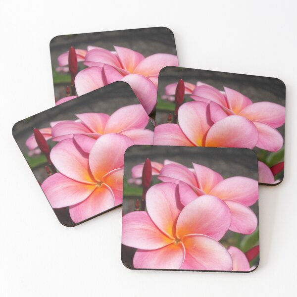 Item preview, Pink plumeria #7, Big Island, Hawai'i designed and sold by JDY Studio Designs.
