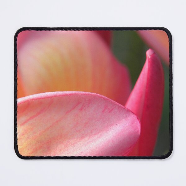 Item preview, Portfolio: Orange plumeria #5, Big Island, Hawai'i designed and sold by JDY Studio Designs.