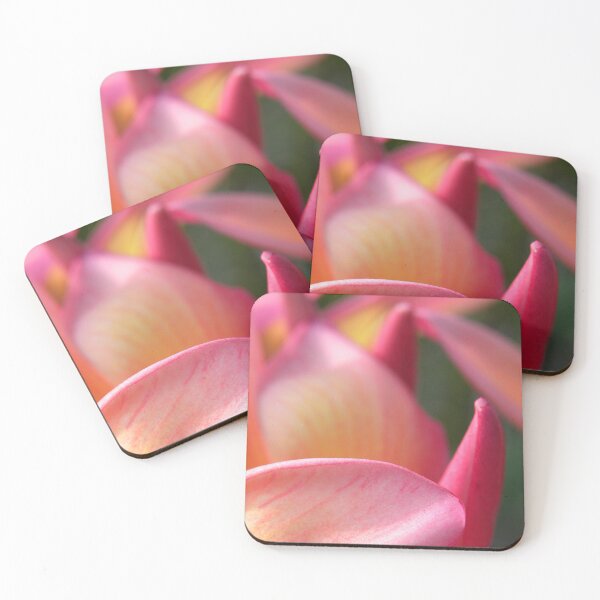 Item preview, Portfolio: Orange plumeria #5, Big Island, Hawai'i designed and sold by JDY Studio Designs.