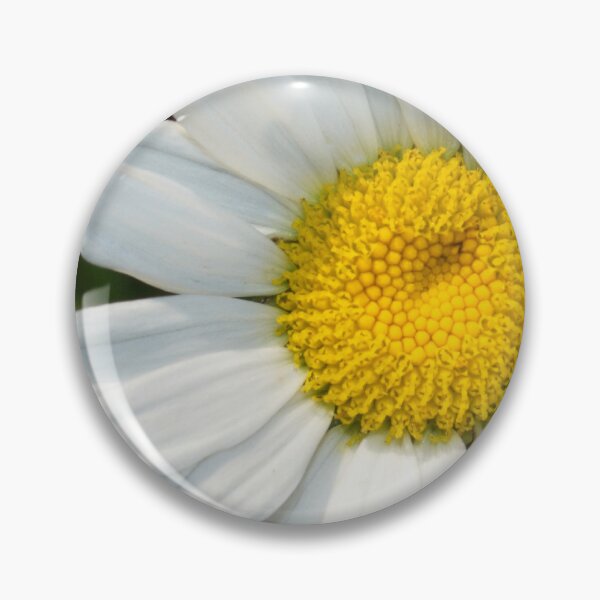 Item preview, Elegant White Daisy Flower Exquisite Close-Up designed and sold by DEC02.