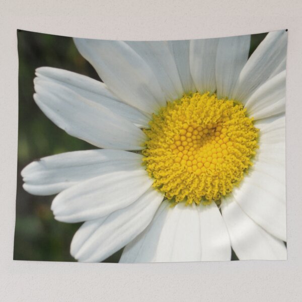 Item preview, Elegant White Daisy Flower Exquisite Close-Up designed and sold by DEC02.