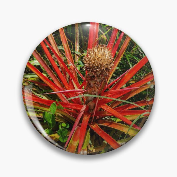 Item preview, Exotic Heart of Flame Bromeliad Red Foliage designed and sold by NaileyCreative.