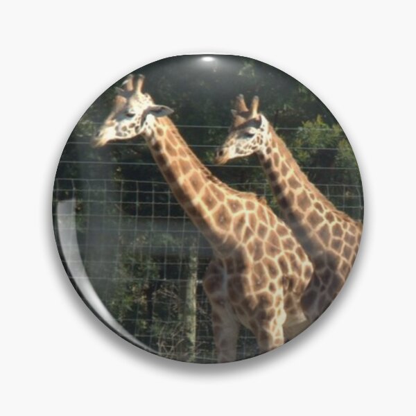 Item preview, Two beautifl young giraffe designed and sold by aligata1970.