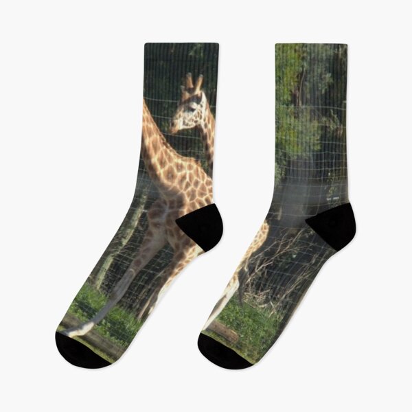 Item preview, Two beautifl young giraffe designed and sold by aligata1970.