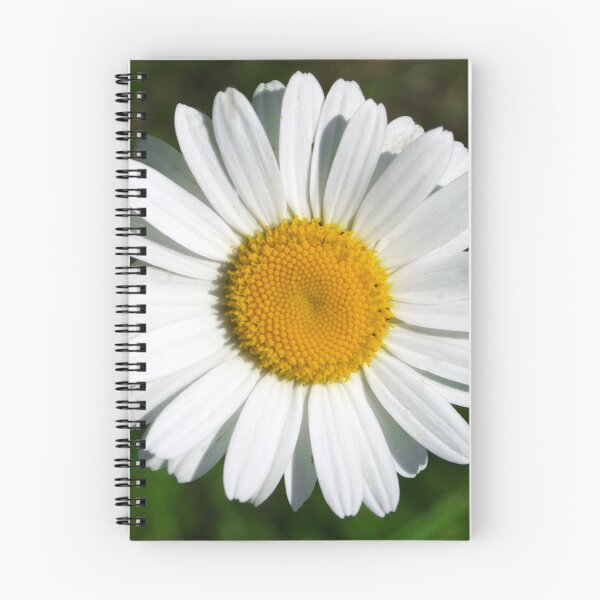 Item preview, Single White Daisy Flower Elegant Art Photo designed and sold by DEC02.