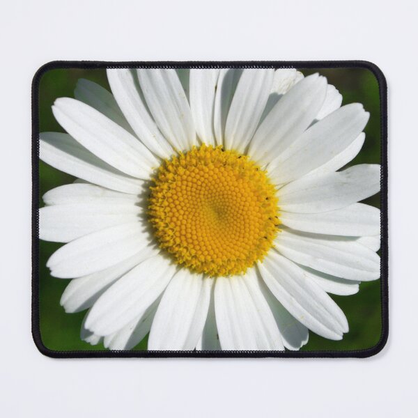 Item preview, Single White Daisy Flower Elegant Art Photo designed and sold by DEC02.
