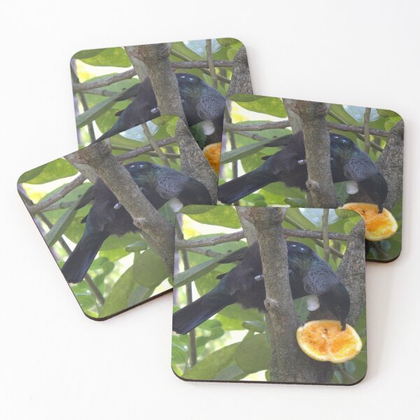 Item preview, New Zealand native Tui designed and sold by aligata1970.