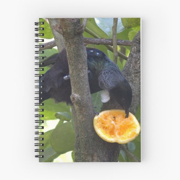 Item preview, New Zealand native Tui designed and sold by aligata1970.