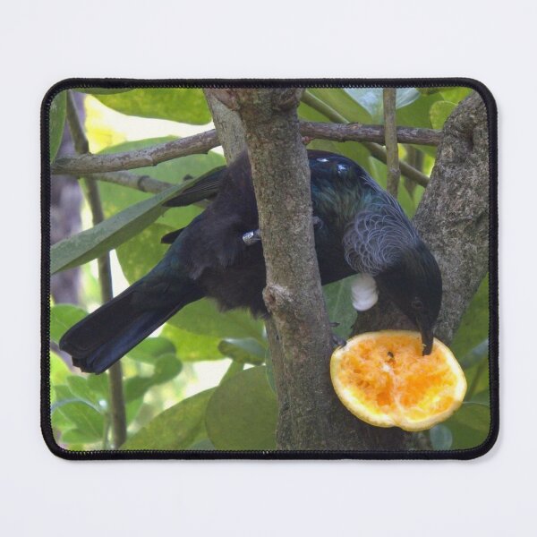 Item preview, New Zealand native Tui designed and sold by aligata1970.