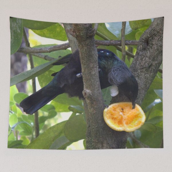 Item preview, New Zealand native Tui designed and sold by aligata1970.