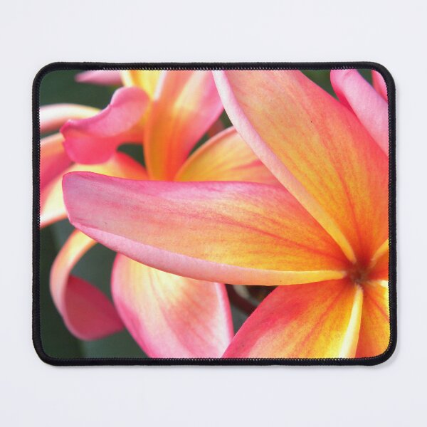 Item preview, Pink -orange plumeria -Big Island of Hawai’i designed and sold by JDY Studio Designs.