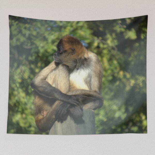 Item preview, Cute Sitting Spider Monkey designed and sold by aligata1970.
