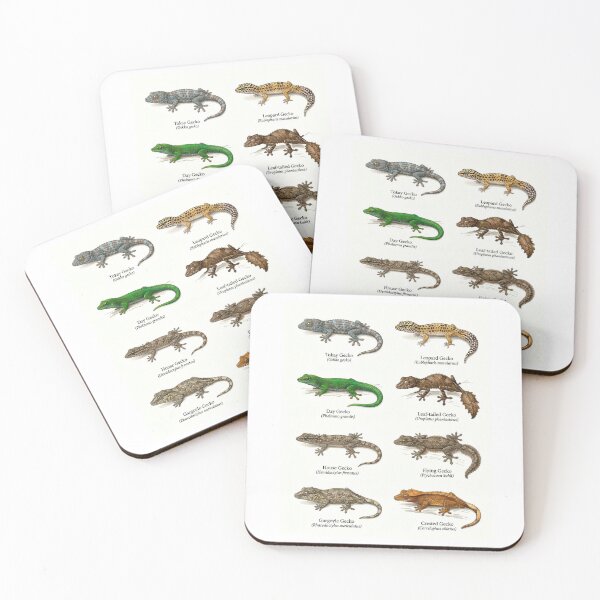Item preview, Gecko Species designed and sold by ArunDandiboina.