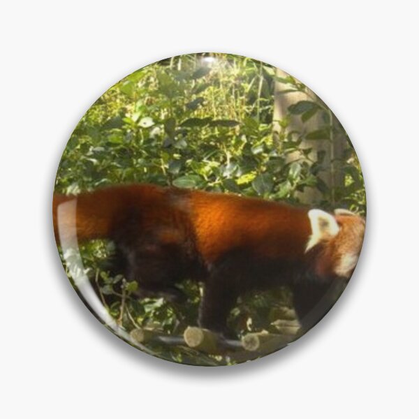 Item preview, Beautiful Red Panda designed and sold by aligata1970.