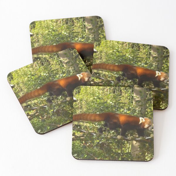 Item preview, Beautiful Red Panda designed and sold by aligata1970.