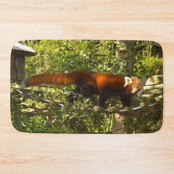 Item preview, Beautiful Red Panda designed and sold by aligata1970.