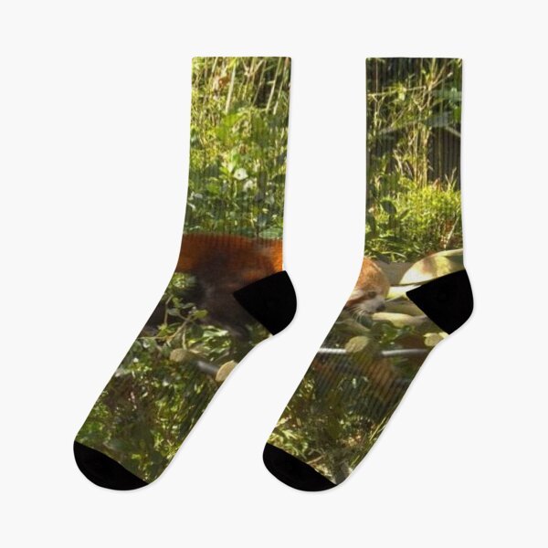 Item preview, Beautiful Red Panda designed and sold by aligata1970.