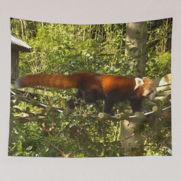 Item preview, Beautiful Red Panda designed and sold by aligata1970.
