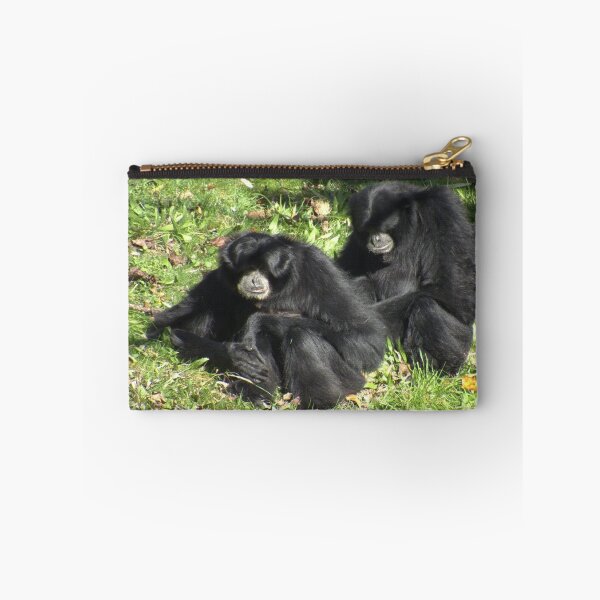 Item preview, Two cute Siamang sitting designed and sold by aligata1970.