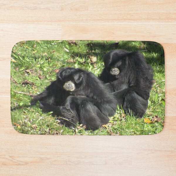 Item preview, Two cute Siamang sitting designed and sold by aligata1970.