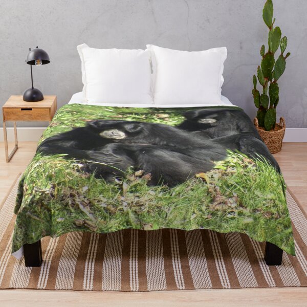 Item preview, Two cute Siamang sitting designed and sold by aligata1970.