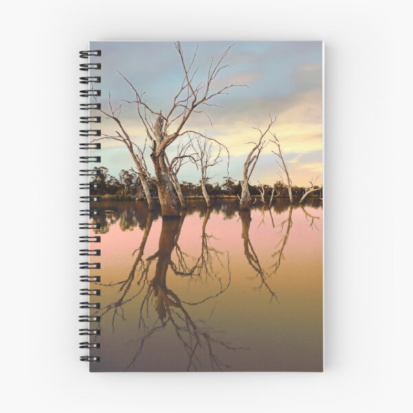 Item preview, Trees Mirrored in the Murray River at Sunset designed and sold by jaynerushton.