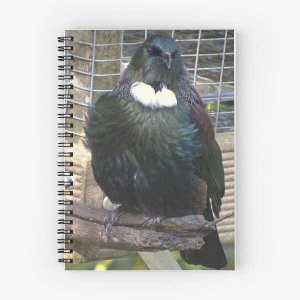 Item preview, Beautifil New Zealand Tui designed and sold by aligata1970.