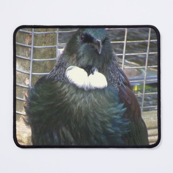 Item preview, Beautifil New Zealand Tui designed and sold by aligata1970.