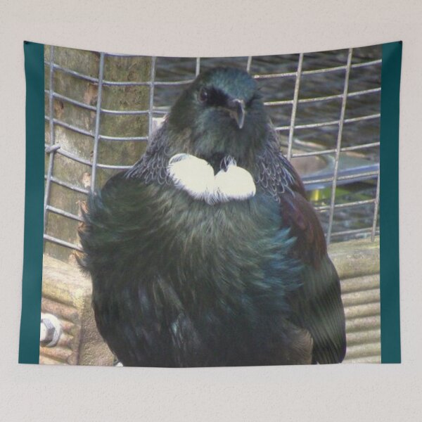 Item preview, Beautifil New Zealand Tui designed and sold by aligata1970.