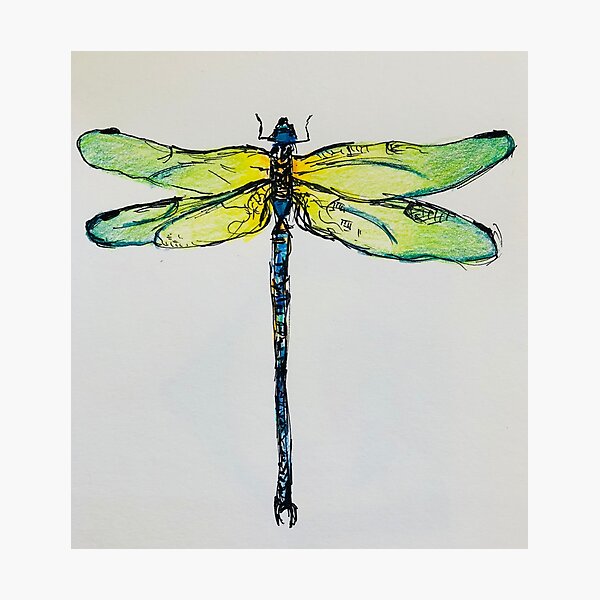 Dragonfly Photographic Print