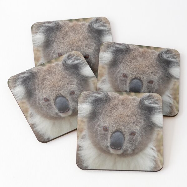 Item preview, Koala Closeup designed and sold by Pixsell Image.