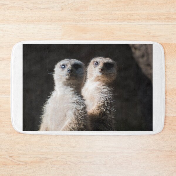 Item preview, Meerkats designed and sold by XaviFotografia.