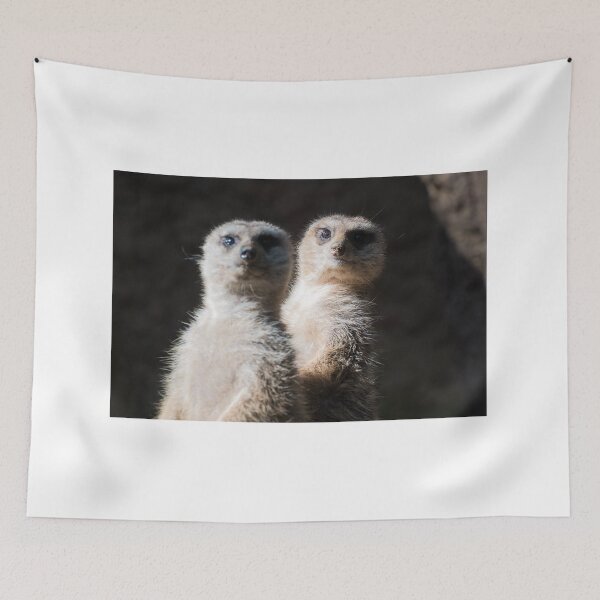 Item preview, Meerkats designed and sold by XaviFotografia.