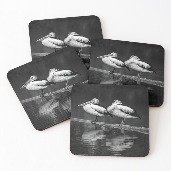 Item preview, Silent Companions - Fine Art Pelican Monochrome designed and sold by MonochromePics.