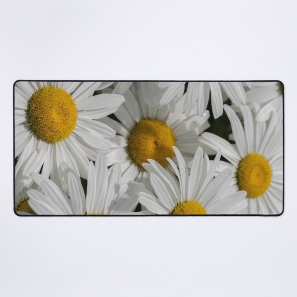 Item preview, White Daisies — Sunny Floral Nature Pattern designed and sold by Andrey Yurkevich Art.