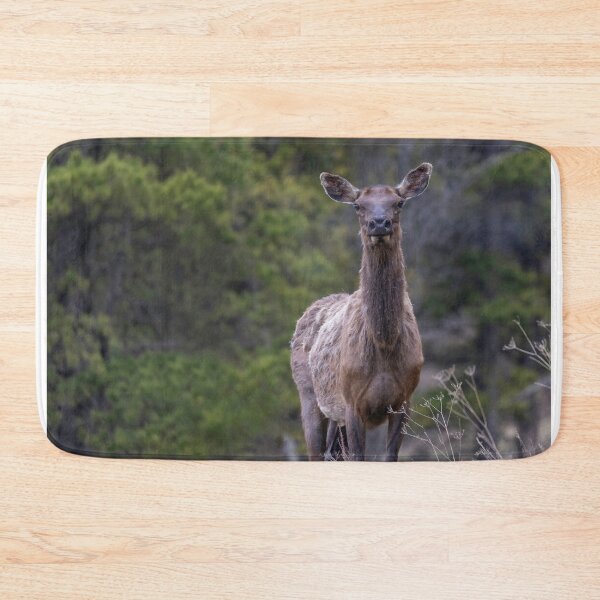 Item preview, An elk in the Forest Looking at Camera designed and sold by Don Arsenault.