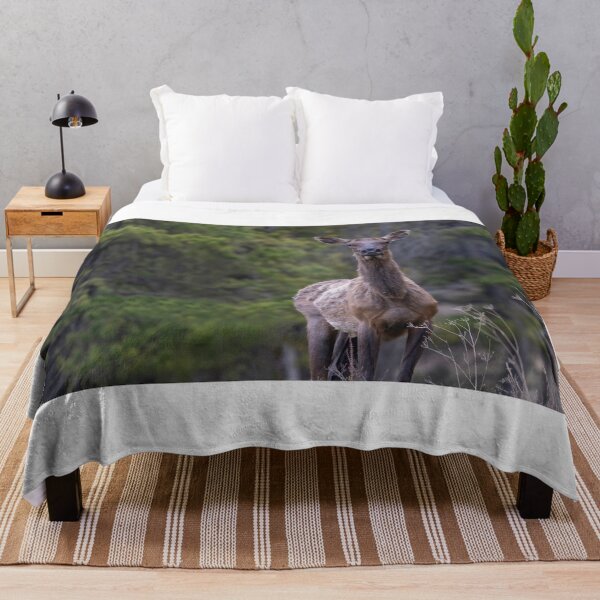 Item preview, An elk in the Forest Looking at Camera designed and sold by Don Arsenault.