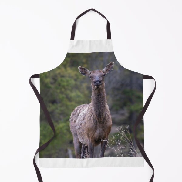 Item preview, An elk in the Forest Looking at Camera designed and sold by Don Arsenault.