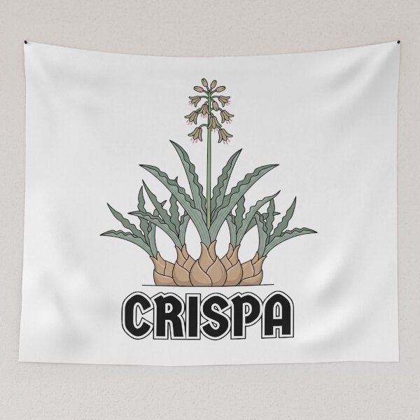 Item preview, Minimalist Ledebouria Crispa Streetwear Botanical Graphic designed and sold by GreenDivisionJP.