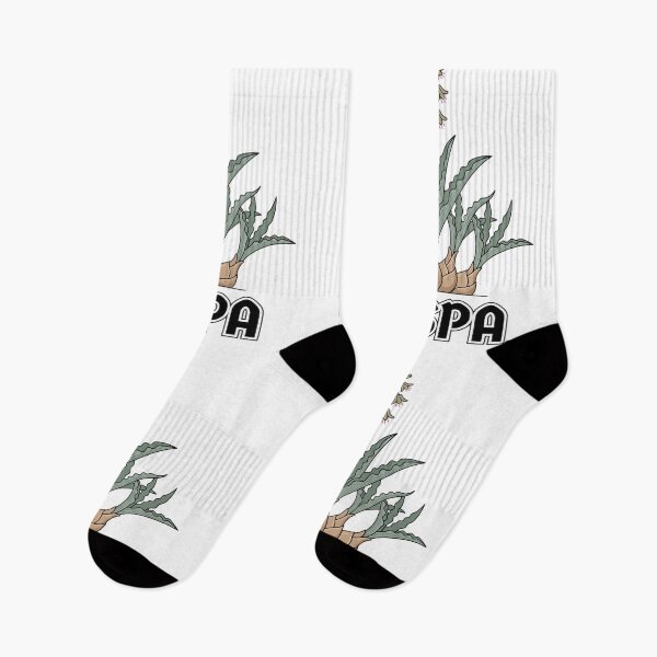 Item preview, Minimalist Ledebouria Crispa Streetwear Botanical Graphic designed and sold by GreenDivisionJP.