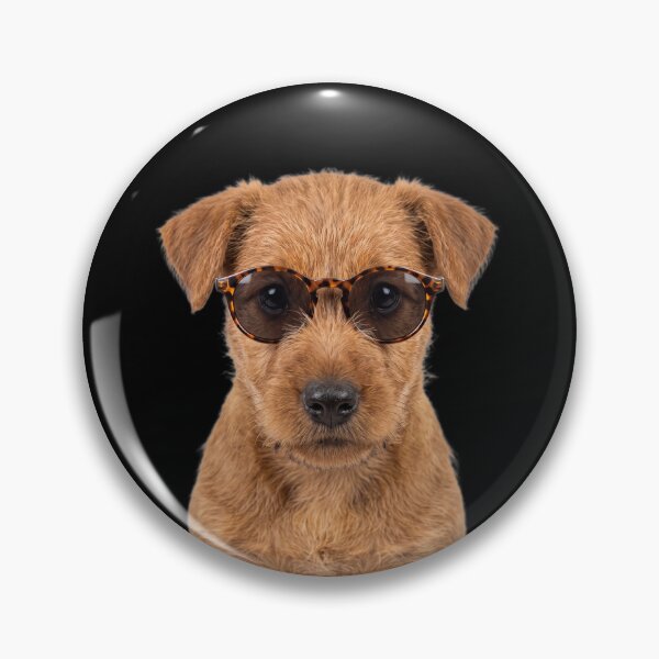 Item preview, Cute Baby Irish Terrier Dog Wearing Sunglasses Funny designed and sold by RareLavender.