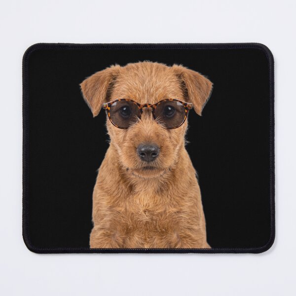 Item preview, Cute Baby Irish Terrier Dog Wearing Sunglasses Funny designed and sold by RareLavender.