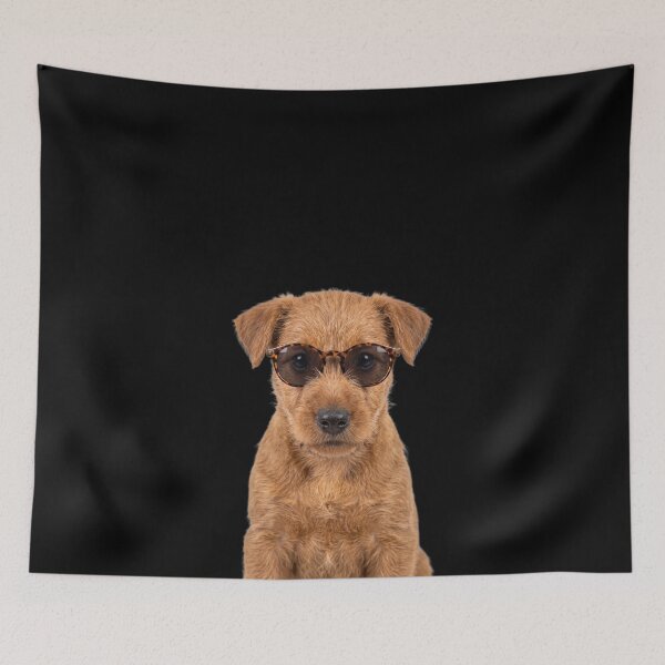 Item preview, Cute Baby Irish Terrier Dog Wearing Sunglasses Funny designed and sold by RareLavender.