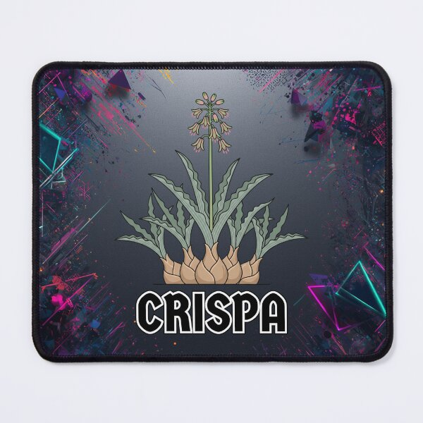 Item preview, Minimalist Ledebouria Crispa Streetwear Botanical Graphic designed and sold by GreenDivisionJP.