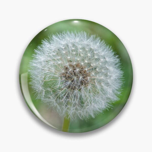 Item preview, Dandelion designed and sold by XaviFotografia.