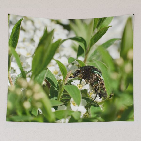 Item preview, Jamjam. Rose Chafer designed and sold by Jouko Lehto Photography.